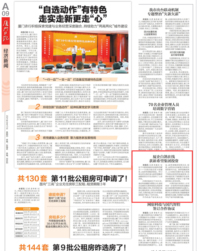 白鸽在线.jpg