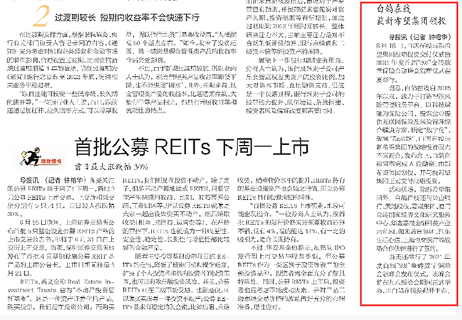 白鸽在线.jpg